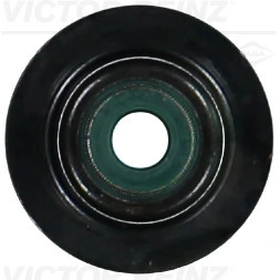 Seal Ring, valve stem